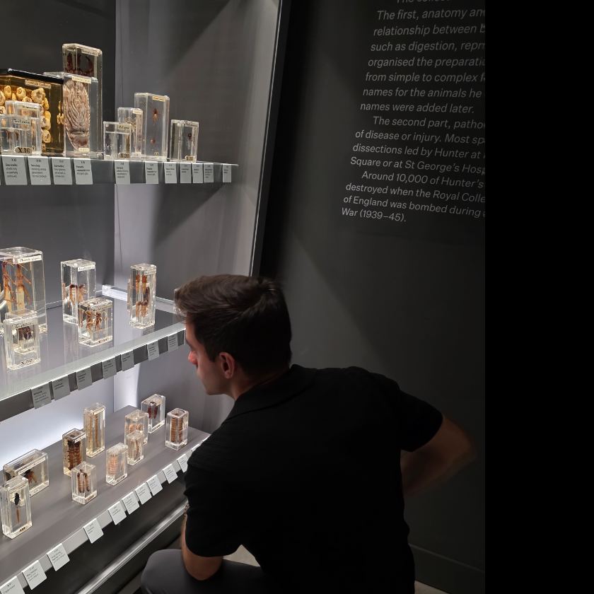 My husband crouched at a museum specimen case